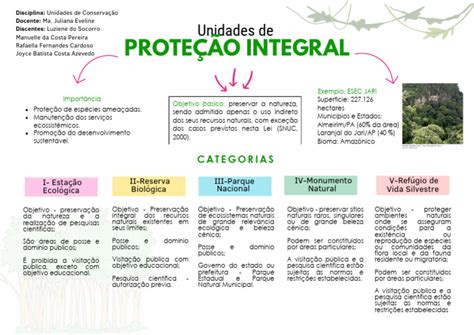 O Que São Unidades De Proteção Integral - Unidades de Conservação: Tipos e Objetivos | PDF | Ecologia | Ciências ...