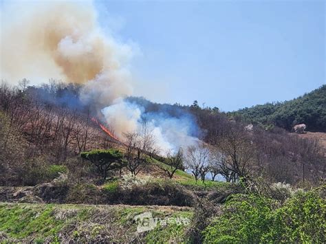 순천 황전면 산불 1시간만에 주불 진화