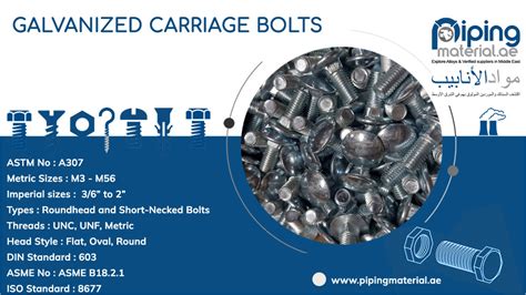 Galvanized Carriage Bolts Hot Dipped Galvanised Coach Bolts Supplier