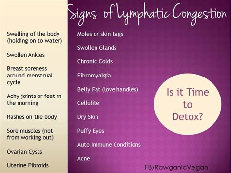 Lymphatic Congestion Lymph System Lymph Detox Lymphatic Massage