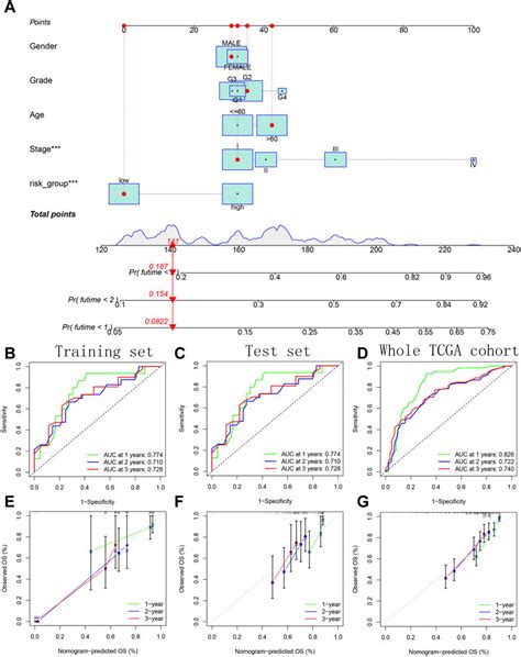 Frontiers Identification And Verification Of Novel Immune Related