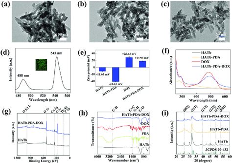 Characterization Analyses Of The Synthesized Formulations TEM Analyses