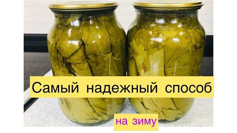 Виноградные листья на зиму.100% надёжный способ хранения. - YouTube