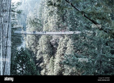 Vancouver, British Columbia - Nov 28, 2019 : View of Capilano ...