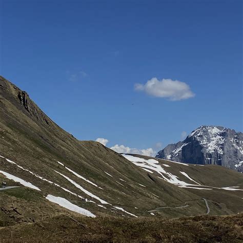 🍡 On Twitter Rt Noonnarinthip Grindelwald In May