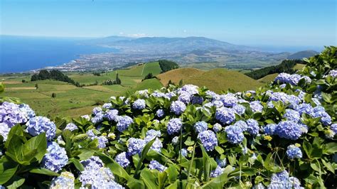 Desde Ponta Delgada Excursi N De Un D A A Sete Cidades Y Lagoa Do Fogo