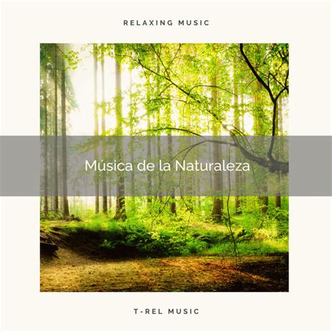 1 Música de la Naturaleza Naturaleza Sonidos Qobuz