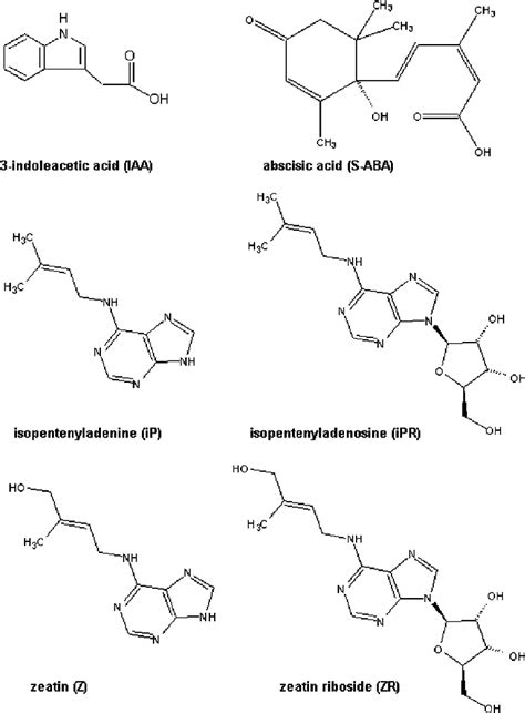 Structure Formulas Of Iaa S Aba And Some Cytokinins Download Scientific Diagram