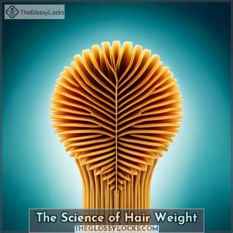 How Much Does Hair Weigh A Detailed Analysis Of Hair Weight Factors