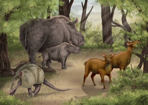 Brazilian Pleistocene Forest Reconstruction