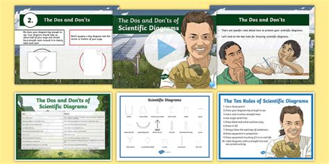 Scientific Diagrams Lesson Pack Science Drawings Twinkl