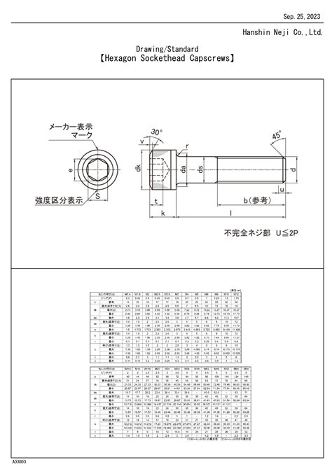 10 9 12 9 Socket Cap Screw Jis B 1176 L Hanshin Neji Hanshin Neji