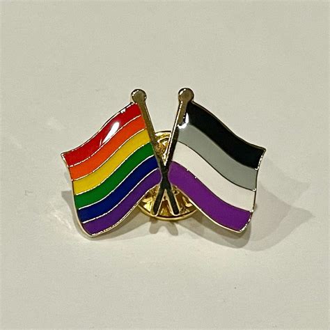 The Lgbtq Asexual Ace Rainbow Pride Double Flag Pin Badge Etsy