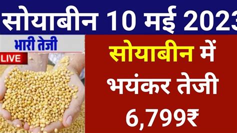 सोयाबीन भाव 10 मई 2023 सोया प्लांट भाव लाइवsoya Plant Youtube