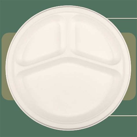 Inch Cp Round Bagasse Disposable Plate At Rs Piece Bagasse