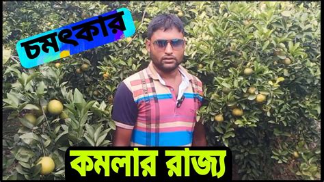 কমলা মাল্টা আম জাম কাঁঠাল লিচু নারিকেল খেজুর ইত্যাদি সরাসরি নার্সারি