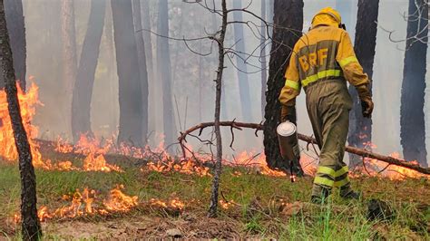 Incendios Forestales Así Trabajan Las Brigada De Refuerzo