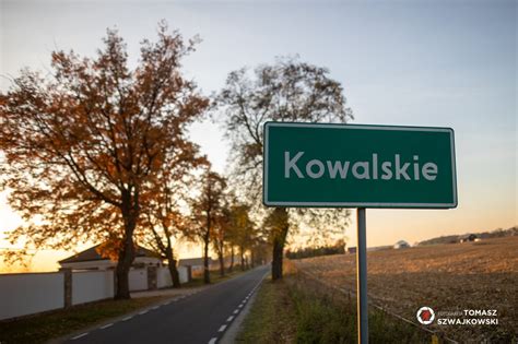 Kowalskie Park Krajobrazowy Puszcza Zielonka Nasza Zielonka