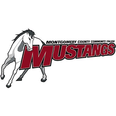 Montgomery County Community College (Pennsylvania) Men's Baseball ...