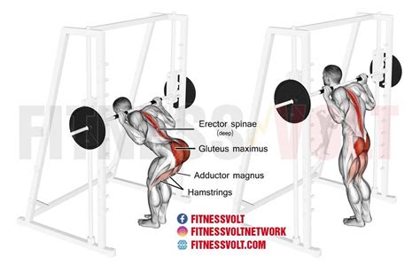 Smith Machine Good Mornings Fitness Volt