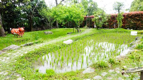 宜蘭∥一米特米食點心觀光工廠，免費參觀︱米的觀光工廠，花園親子遊樂區︱親子觀光工廠︱宜蘭景點 你今天「微笑」了嗎？