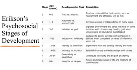 Ch Lifespan And Development Flashcards Quizlet