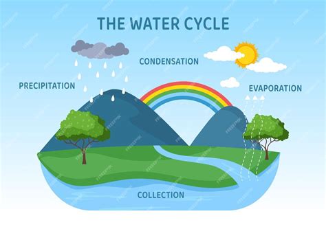 Premium Vector | Water cycle flat cartoon illustration in earth natural environment