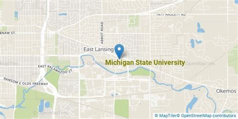 Michigan State University Overview Course Advisor