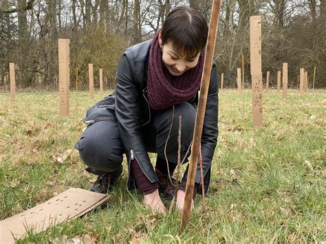 Create Website Builder On Twitter Brilliant Day Planting Trees