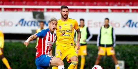 Tigres vs Guadalajara: Dónde y cómo ver - Invasión Deportiva