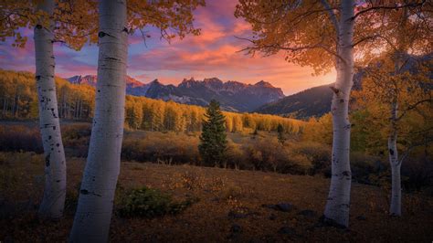 Wallpaper Cloud Plant Ecoregion Natural Landscape Afterglow