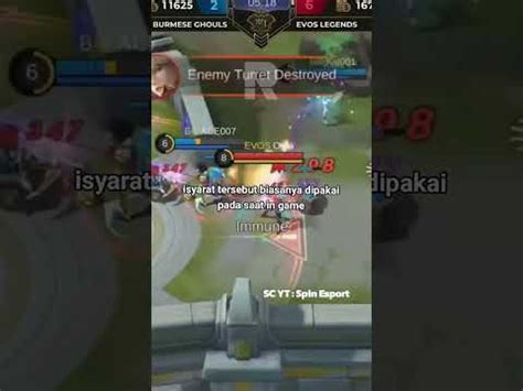 Istilah Istilah Yang Wajib Kalian Ketahui Di Dalam Game Mobile Legends