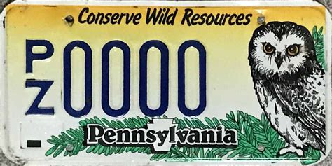 Pennsylvania License Plate Image