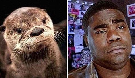 People Shared 25 Hilarious “Celebrity Lookalikes" That Are Surprisingly ...