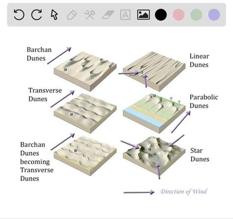 Solved Describe The Differences Among Barchan Dunes Transverse Dunes