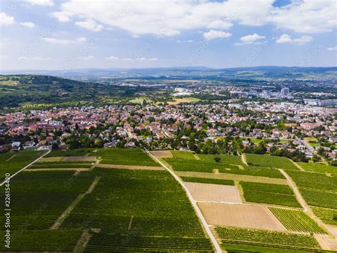 Deutschland Rheinland Pfalz Ingelheim am Rhein Blick über Weinberge