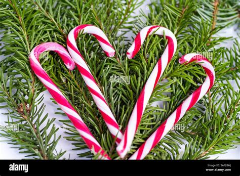 Concept of christmas drink .Red and white candy canes Stock Photo - Alamy