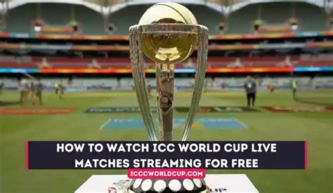 ICC Cricket World Cup 2023 Here Are Jio And Airtel Plans 46 OFF