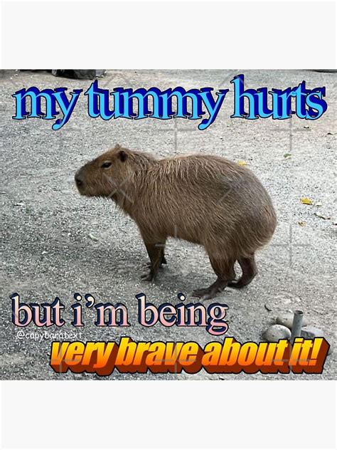 My Tummy Hurts But I M Being Brave Capybara Meme Sticker For Sale By