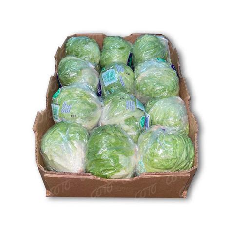 Lechuga Iceberg 12/15ct / Lettuce Iceberg 12/15ct – Coto Distributors