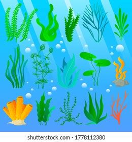 Sea Plants Aquarium Seaweed Set Stock Illustration