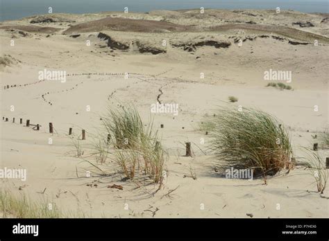 Dead Dunes In Nida Town Lithuania Europe Stock Photo Alamy