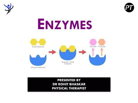 Enzymes Structure Classification And Function Dr Rohit Bhaskar