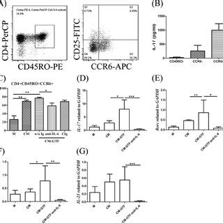 Cxcl Expression In Activated Valvular Interstitial Cells Vic And The