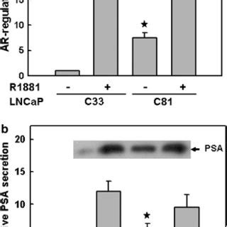 Androgen Independent Ar Activity In Lncap Cells A Dual Reporter