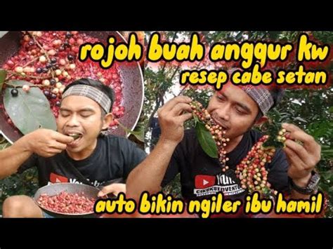 Rempakan Beda Dari Yang Lainrojoh Buah Beri Bikin Ngiler Ibu Hamil