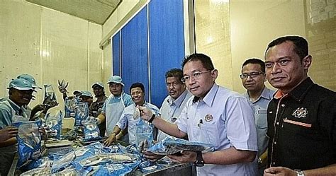 Bekalan Ikan Kembong Untuk Aidil Adha Mencukupi Kakjue