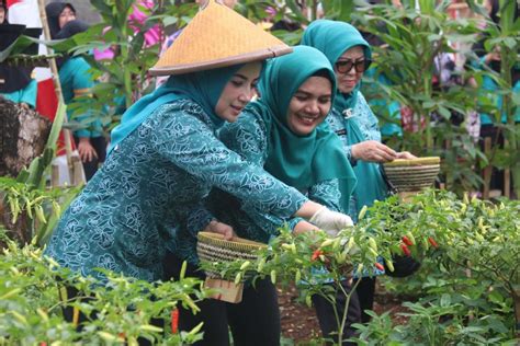 Sukses Manfaatkan Pekarangan Sebagai Sumber Gizi TP PKK Desa Cimanggis