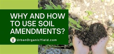 Guide To Soil Amendments What They Are And How To Use Them