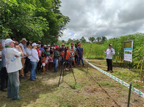 Dia de Campo Institucional sobre Roça Sustentável Consórcio